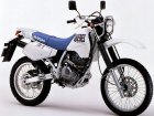 Suzuki DR 250 Djebel